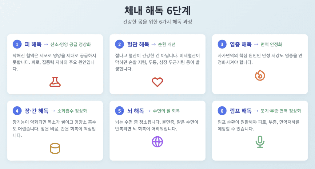 해독 프로그램 6단계 루틴 요약
